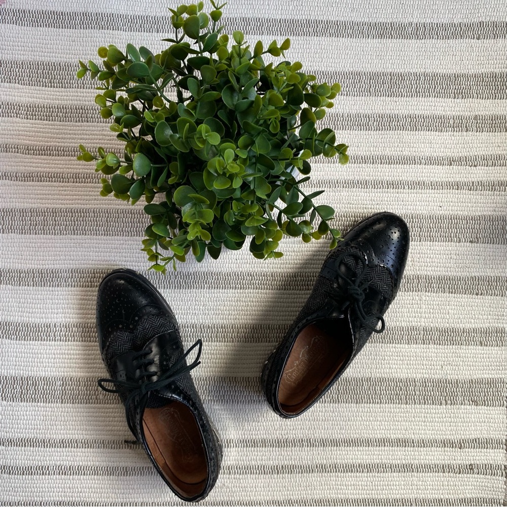 Jeffrey Campbell Townsend Tweed Oxford Shoes